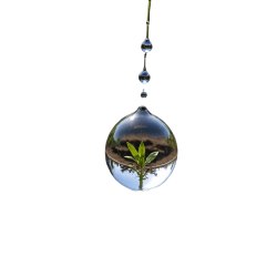 83039ccd-8f26-4c57-af6a-661b7510c706