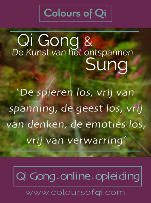 Post 5 Insta staand_qigong & sung