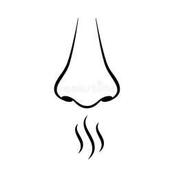 nose-smell-sense-vector-pictogram-nose-smell-sense-vector-pictogram-illustration-102527548